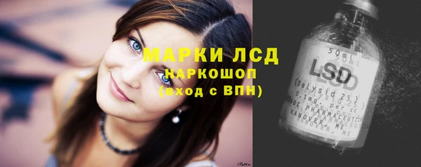 шишки Видное