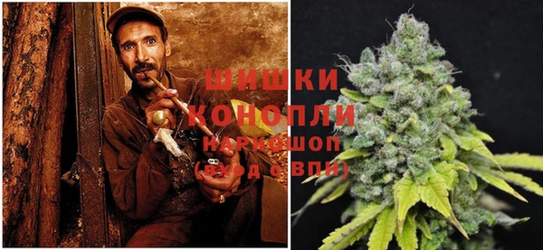 гидропоника Осинники