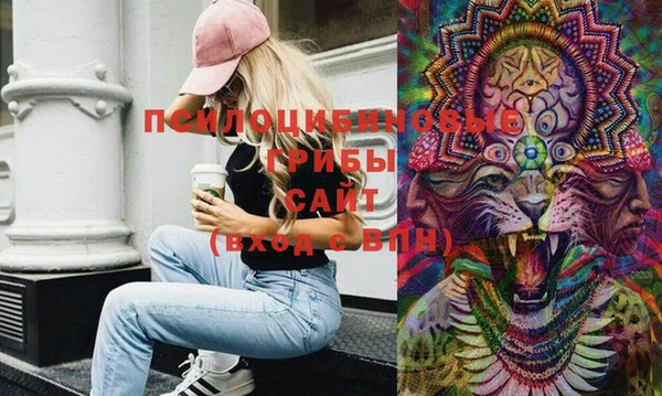 дживик Остров