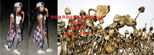 прущие крисы Абдулино