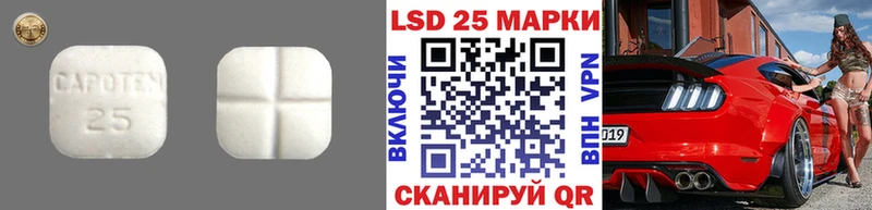 где купить   MEGA зеркало  Лсд 25 экстази ecstasy  Торопец 